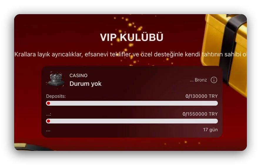 Ekran: seviye ilerleme kartı ve yatırım ilerleme çubuğu olan VIP Kulübü sayfası